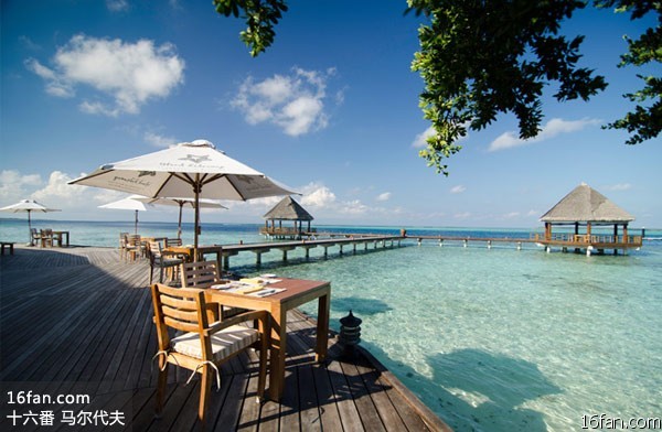 马尔代夫神仙珊瑚岛旅游攻略Hideaway at Dho