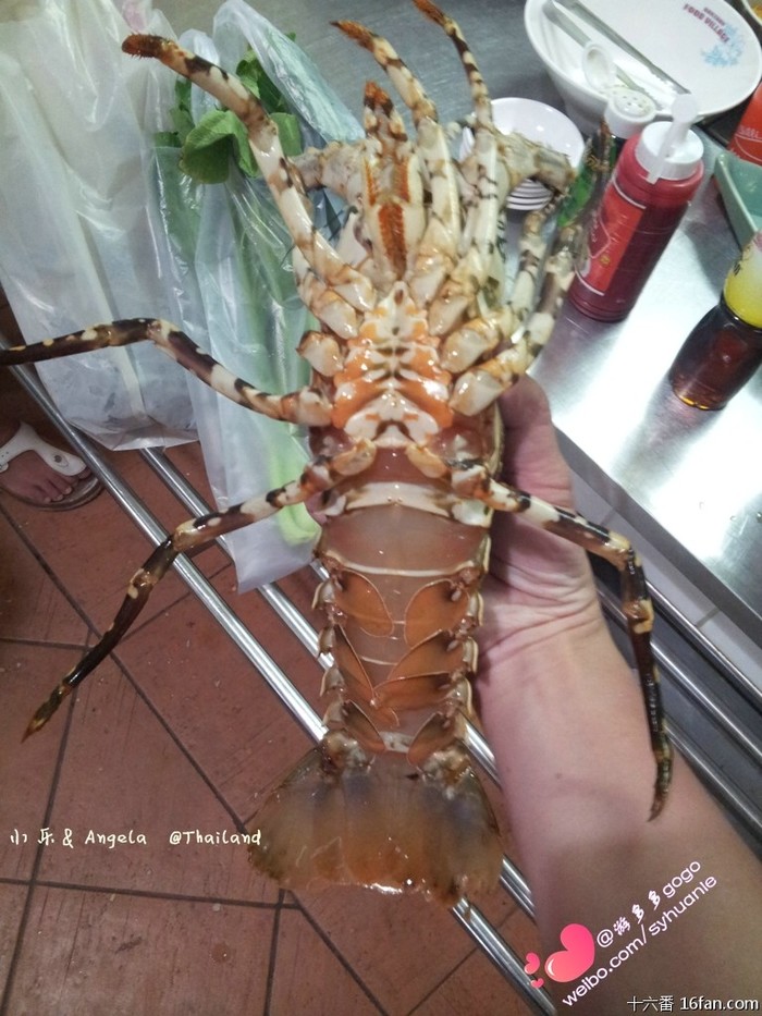 三国(马来西亚、泰国、新加坡)五地(吉隆坡、马