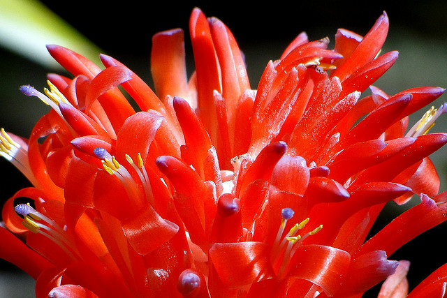 马来西亚山打根(Sandakan)攻略(简介\/景点\/交通