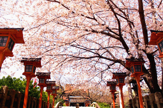 日本京都 Kyoto 旅游攻略 京都自助游 自由行攻略 含景点 交通 美食 住宿 卡咩 十六番