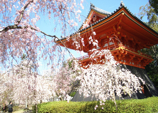 2020 日本京都 Kyoto 旅游攻略 京都自助游 自由行攻略 含景点 交通 美食 住宿 卡咩 十六番