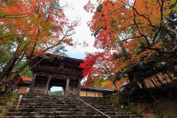 2019 京都賞紅葉攻略（推薦地、觀賞時間、交通）