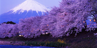 富士山旅行攻略