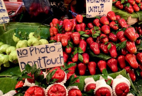 搞不懂了,求教泰国入境新规携带现金要求,本人