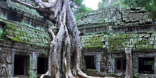 柬埔寨实用APP推荐