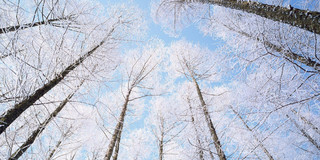 北海道高性价比酒店推荐