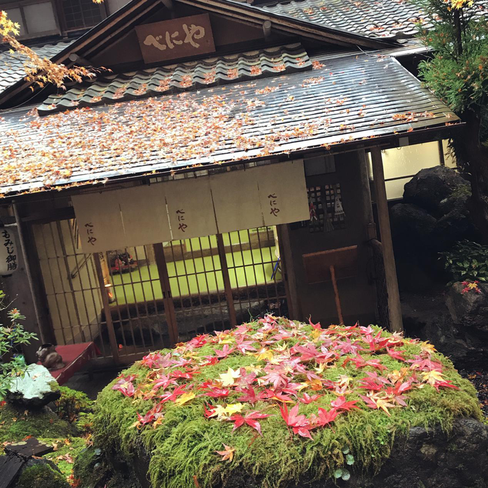 日本自由行,7天6夜,花费6500京都奈良大阪行