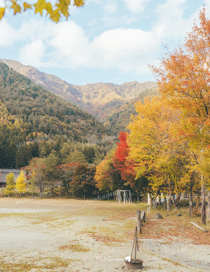 任性过周末 去富士山看了个红叶 河口湖周边二日游 Musgarden 十六番