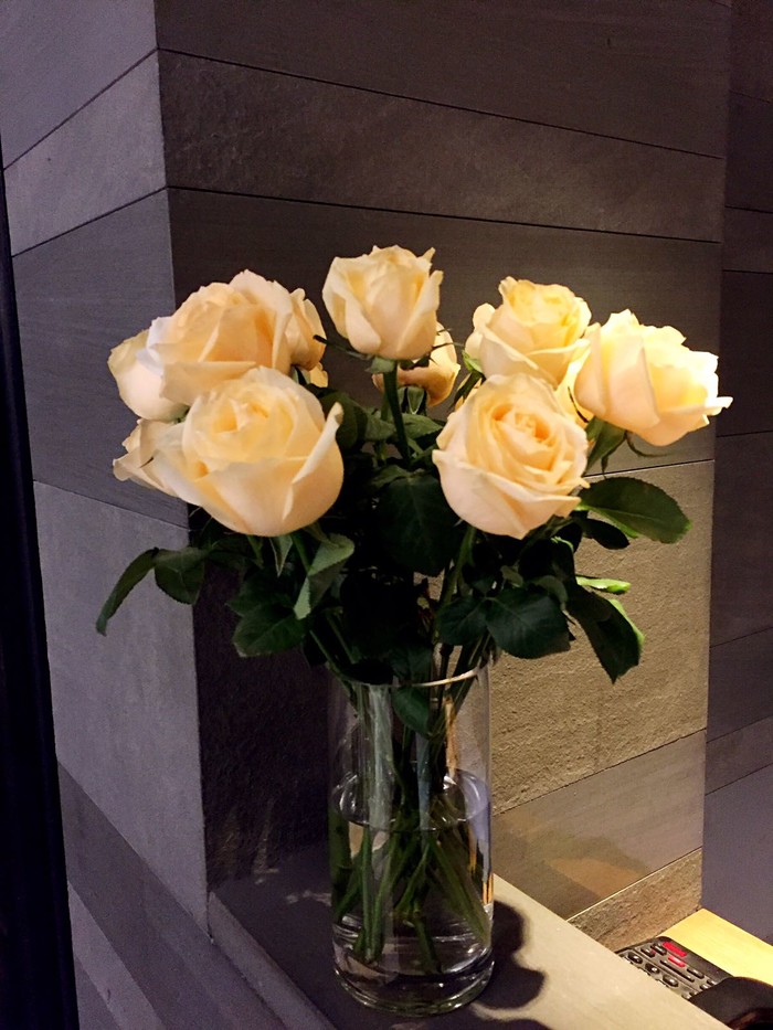 2018年元旦跨年-郑州方特梦幻王国、黄河、博