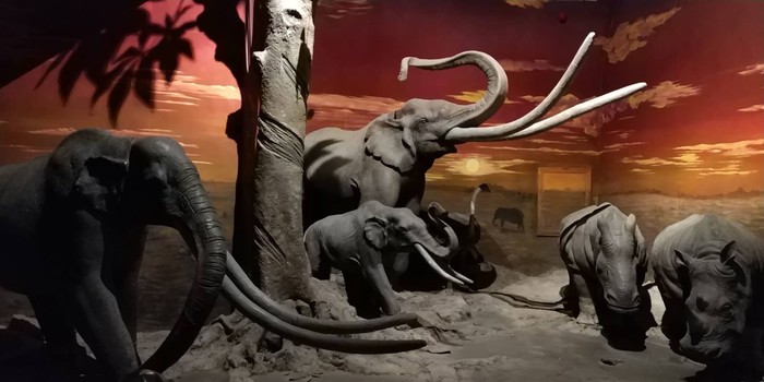 2018年元旦跨年-郑州方特梦幻王国、黄河、博