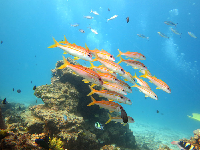 131913n6rrghr5p6lh8zlf.jpg-700