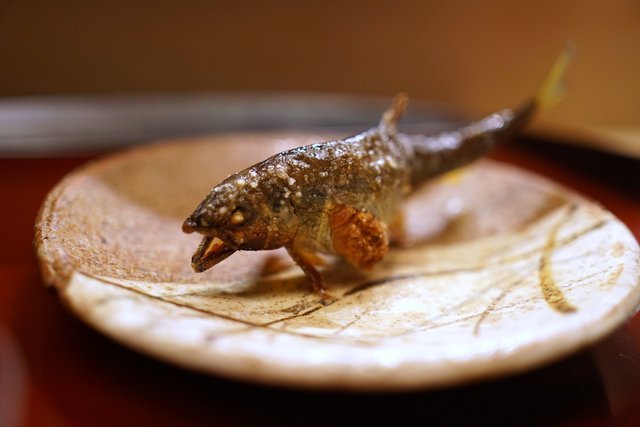 《寿司?拉面?还是天妇罗?日本特色美食攻略》