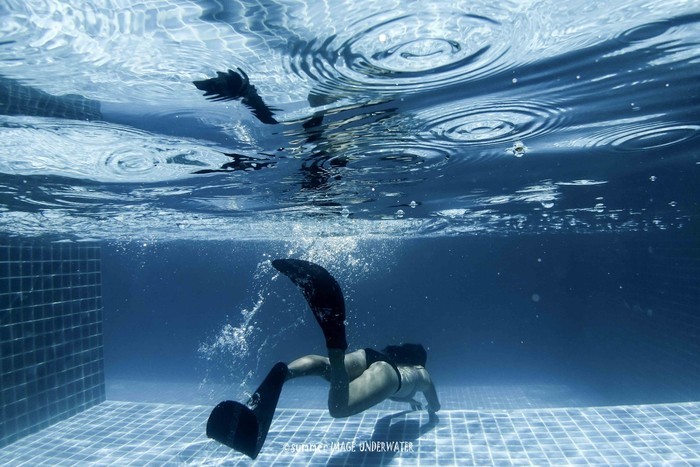 正式加入人鱼族:我在泰国涛岛的2星自由潜之行,新人类自由潜