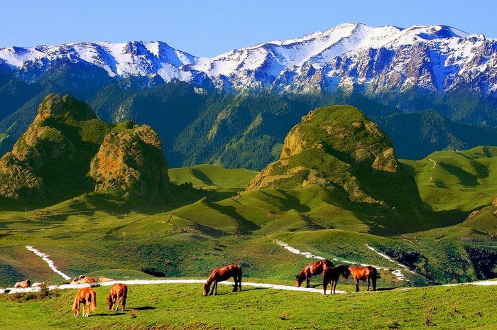 和新疆腹心地带,塔里木盆地东北边缘,北倚天山支脉库鲁克山和霍拉山